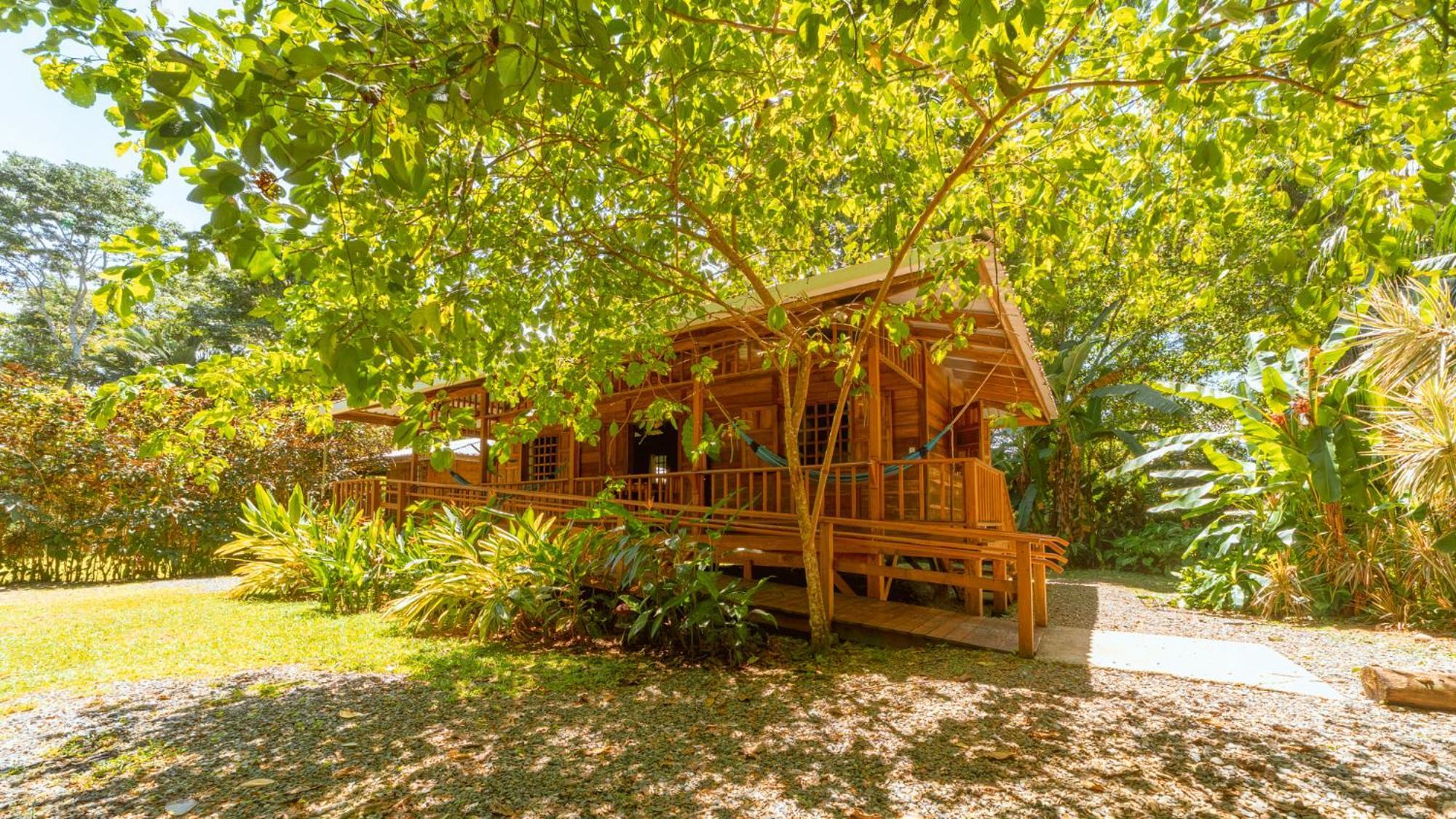 Casa Viva Lodge Puerto Viejo de Talamanca Exterior foto